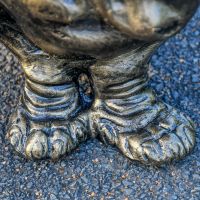 Close up of Basset Hound feet 