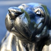 Close up of Antique Gold Basset Hound Sculpture 