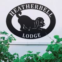 Playful Cockapoo Oval House Name Sign 