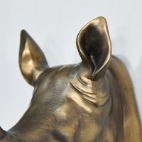 Close up of Rhino ears 