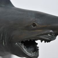 Side view and close up of Shark wall art teeth and eye 