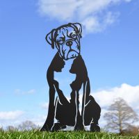 Black Boxer Silhouette Outside