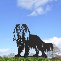 Black Cavalier King Charles Spaniel Silhouette Outside
