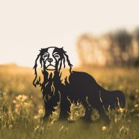 Black Cavalier King Charles Spaniel Silhouette in Field