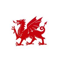 Red Welsh Dragon Wall Art - 60cm