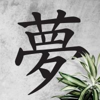 "Kanji Dream Symbol" Wall Art on a Rustic Wall