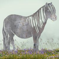 Unfinished Sheet Steel Silhouette with Shetland Pony Design