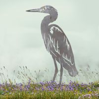 Unfinished Sheet Steel Silhouette with Standing Heron Design
