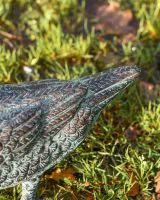 Close up of verdigris duck tail