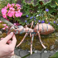Scale Shot of Verdigris Finished "Carpenter" Ant Sculpture