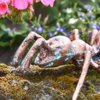 Close-up of Verdigris Finished "Carpenter" Ant Sculpture
