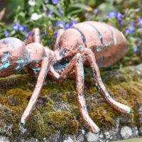 Close-Up of Legs & Body of Carpenter Ant Garden Sculpture