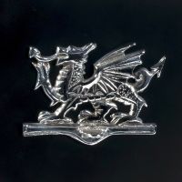 Close-up of the Bright Chrome "Welsh Dragon" Design on the Front of the Post Box