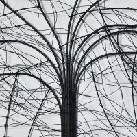 Close-up of the Detail on the Tree Wall Art