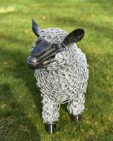 Details of sheep"s face