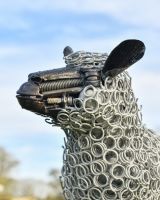 Side profile of the sheep"s face