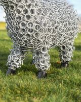 Detailing on the sheep"s feet