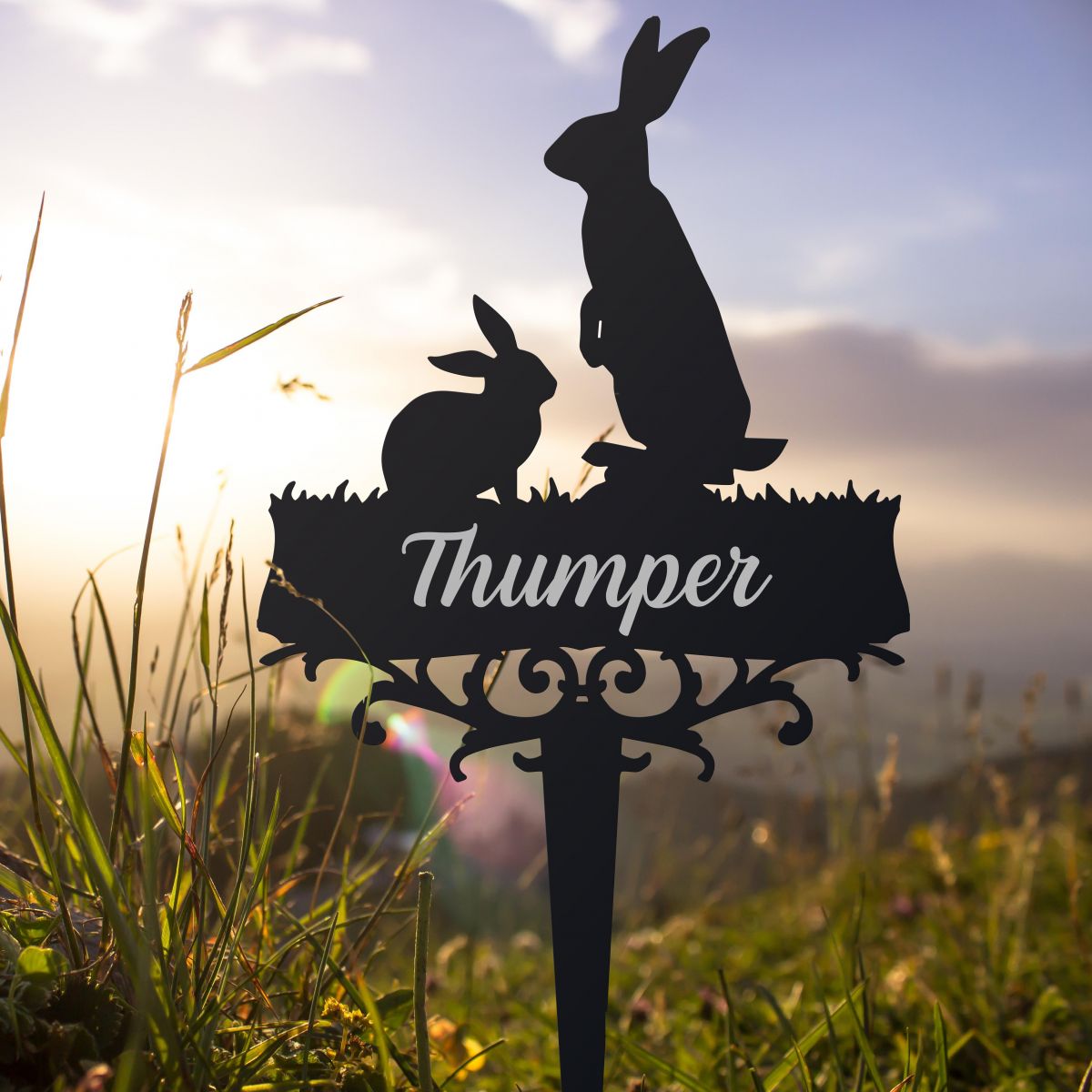 Rabbit Memorial Ground Spike in Situ Rabbit Memorial Ground Spike in Situ