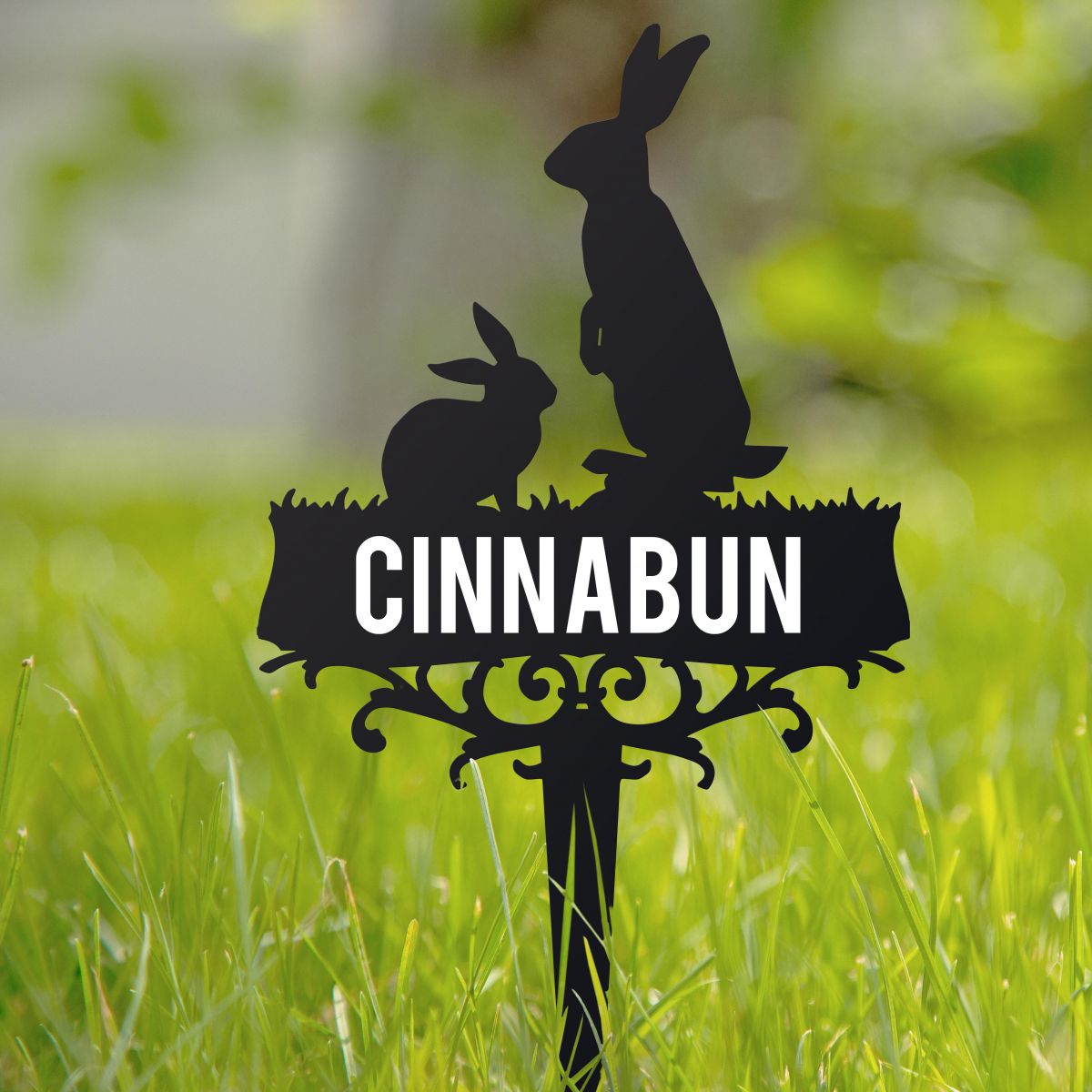 Rabbit Memorial Ground Spike in Situ Rabbit Memorial Ground Spike in Situ