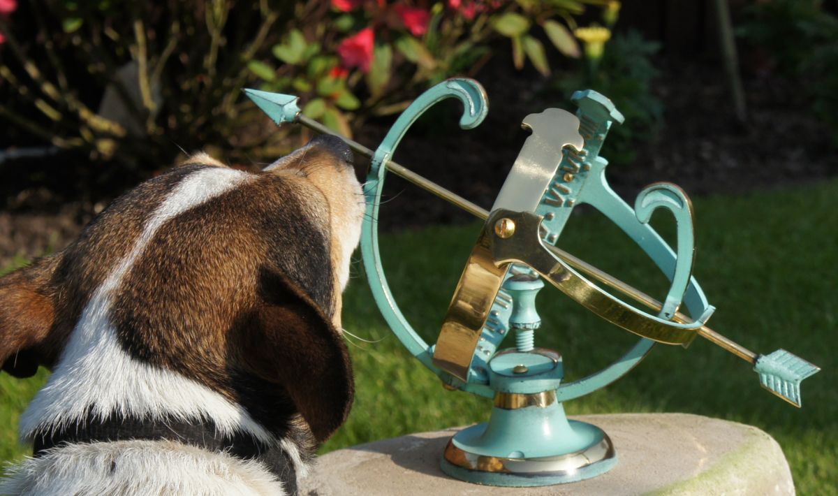 Verdigris "Profatius" Armillary - 16.5cm