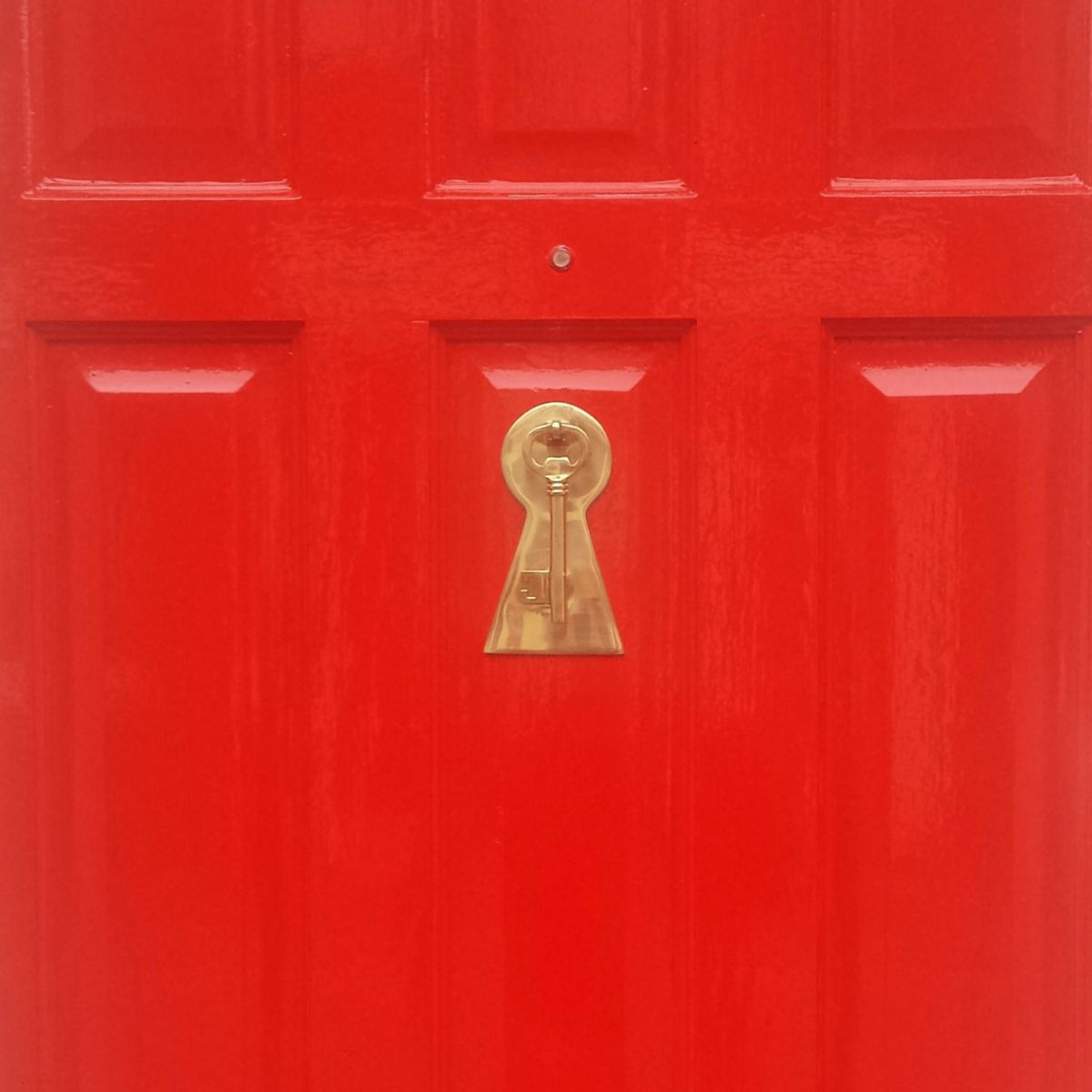Polished Brass Key Door Knocker with Back Plate