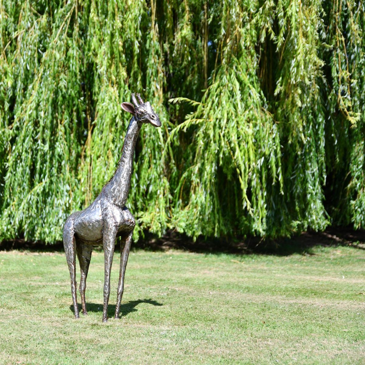 4ft Recycled Metal Giraffe Sculpture in Situ in the Garden 4ft Recycled Metal Giraffe Sculpture in Situ in the Garden