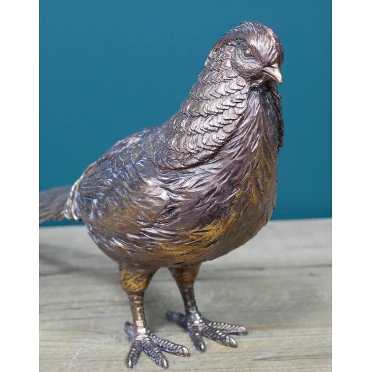 Bronze Pheasant Ornament in Situ Bronze Pheasant Ornament in Situ