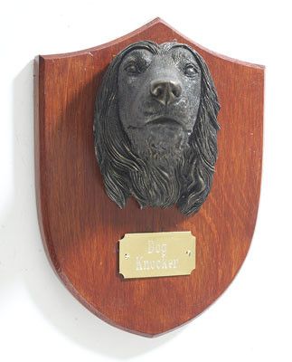 Afghan Hound Trophy Afghan Hound Trophy