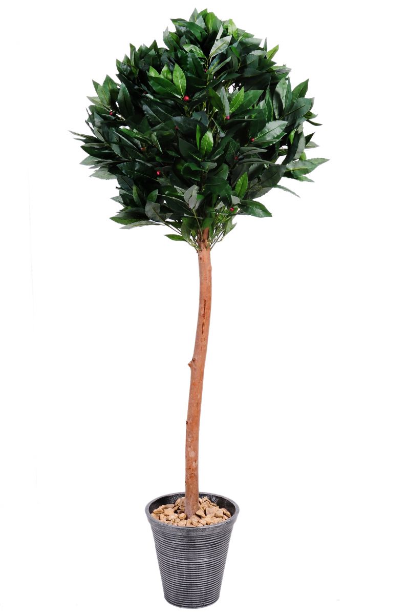 “New Moon Lodge” contemporary aluminium planters finished in “moonlight” colour wash