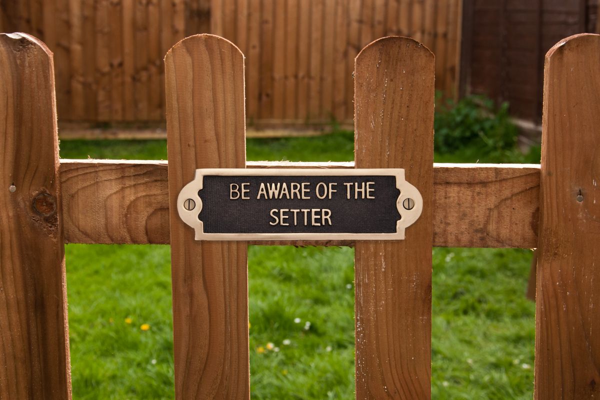 Be Aware of the Dog Signs