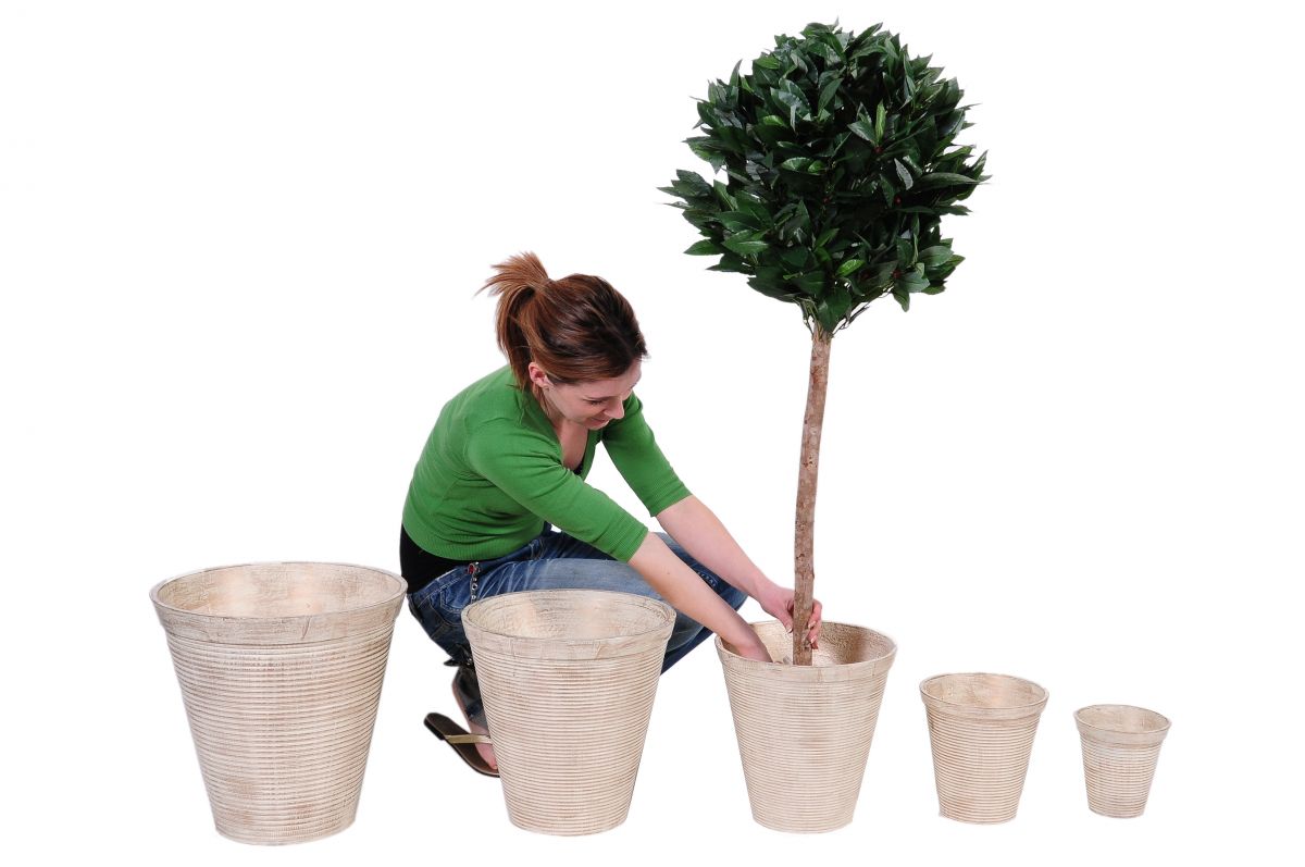 “New Moon Lodge” contemporary aluminium planters, finished in “marbella” gold linen colour wash