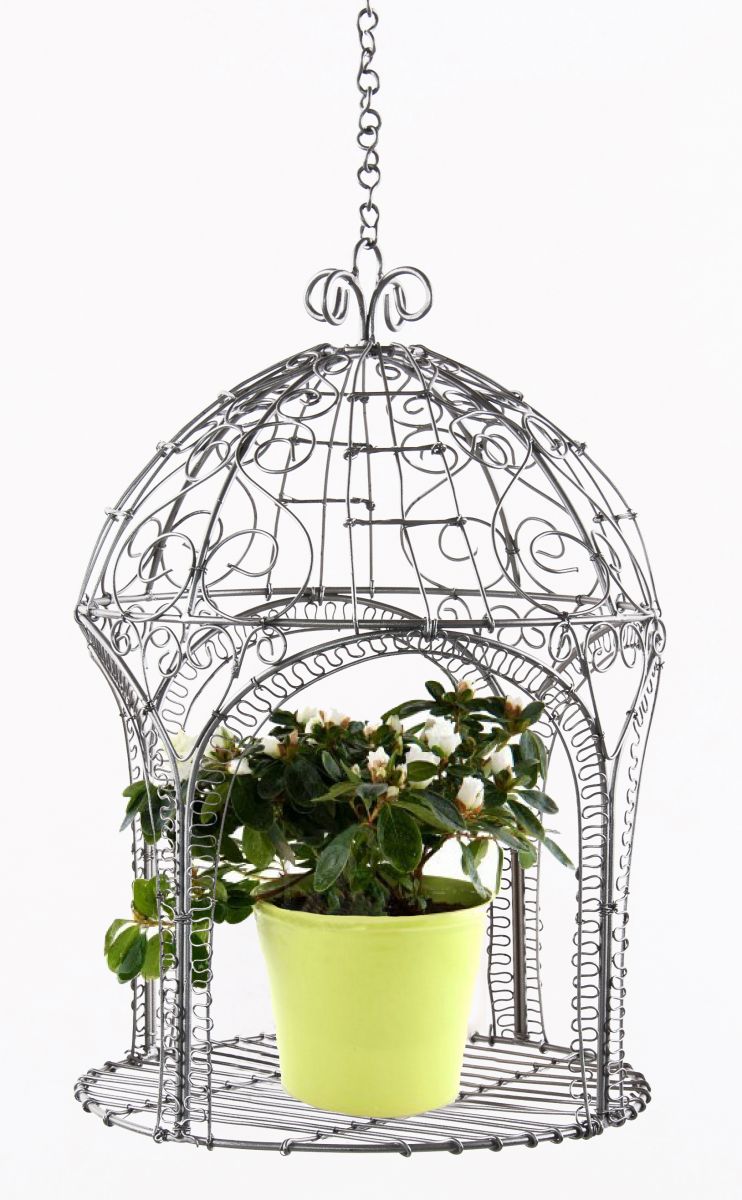 "Deity" Hanging Garden plant holder