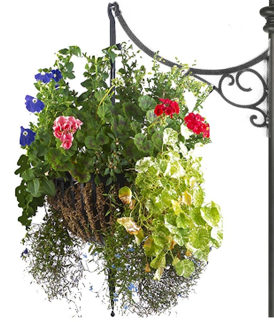 Scroll Design Hanging Basket Bracket