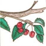 Square Trivet Cherries On Branch