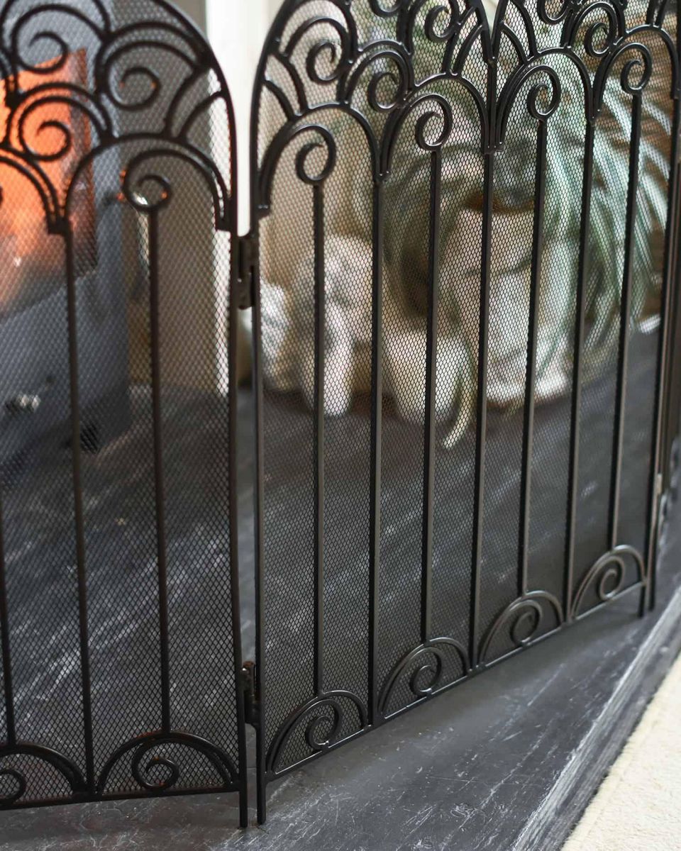 Situ Shot of "French Victoriana" Black Fire Guard