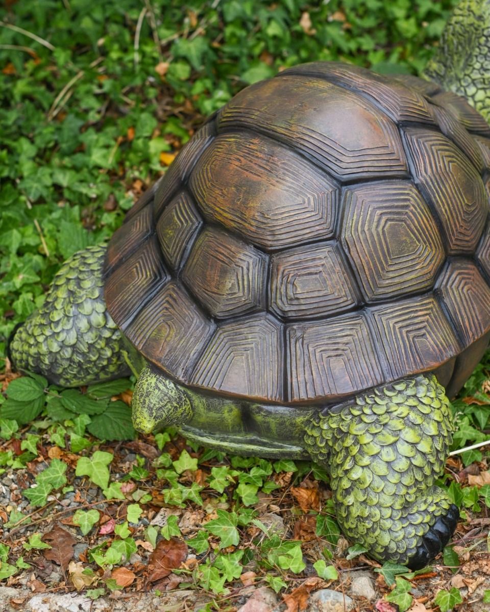 Close of the Rear of the Shell "Terrence" the Tortoise Fibreglass Garden Ornament Surrounded by Ivy