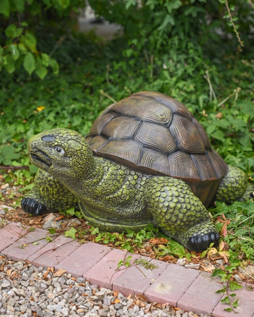 "Terrence" the Tortoise Fibreglass Garden Ornament Shown Side on next to a Garden Path