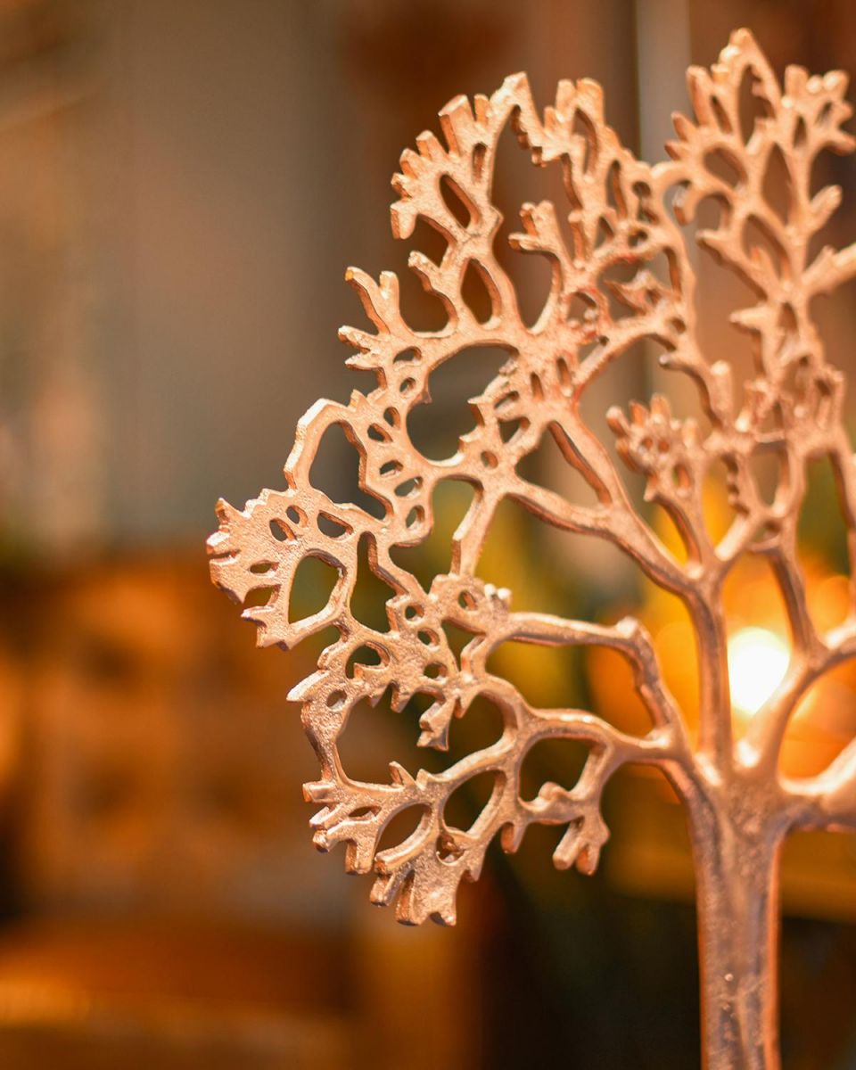 View of the Thickness of the Top of the Tree View of the Thickness of the Top of the Tree