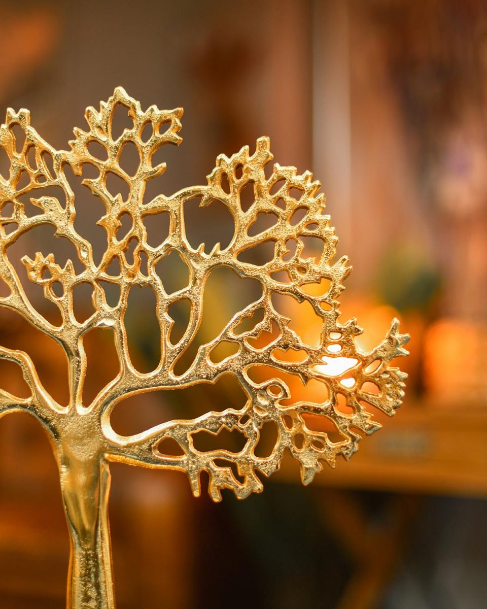 Branches on the Top of the Tree