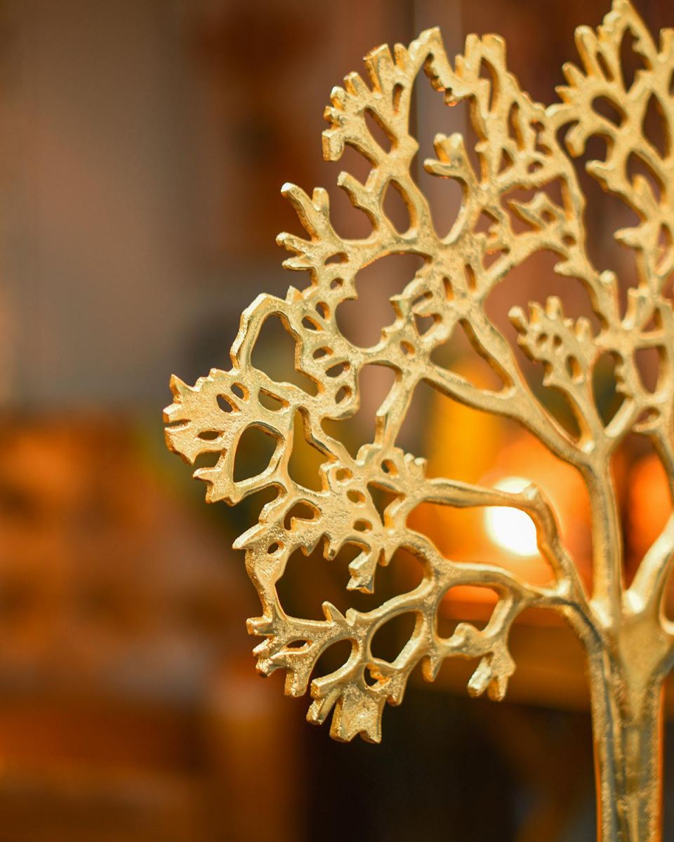 Close-up of the Thickness of the Tree Close-up of the Thickness of the Tree