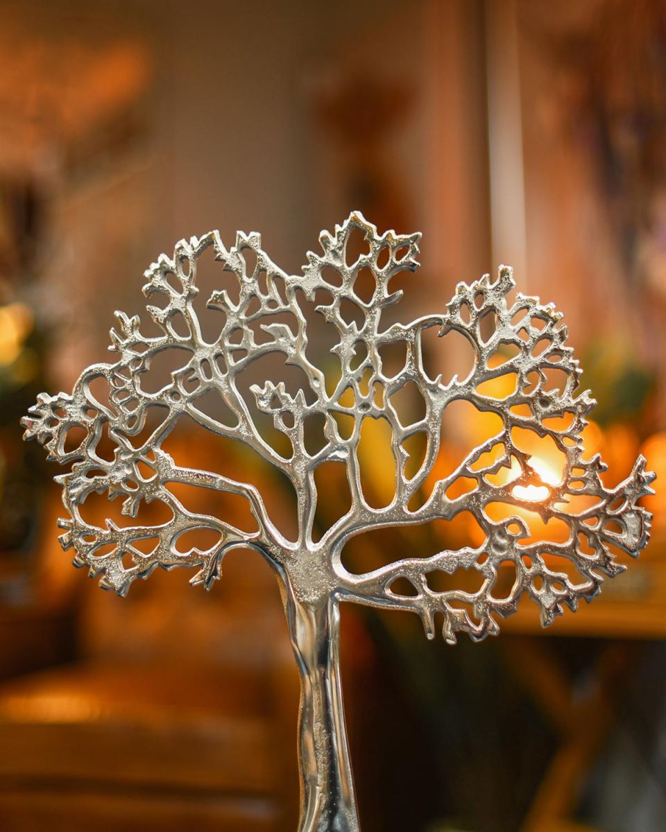 Close-up of the Top of the Tree