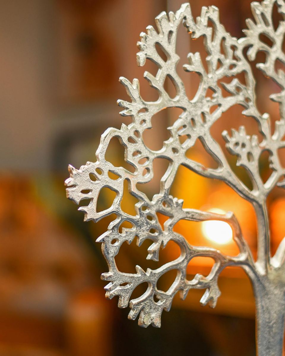 View of the Thickness of the Tree