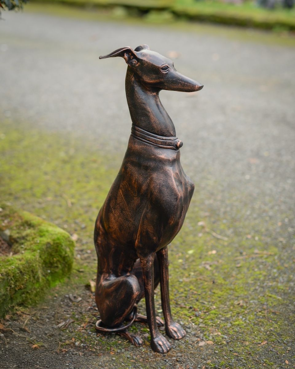 "Albus" the Sitting Greyhound Cast Aluminium Garden Sculpture angled view of sculpture