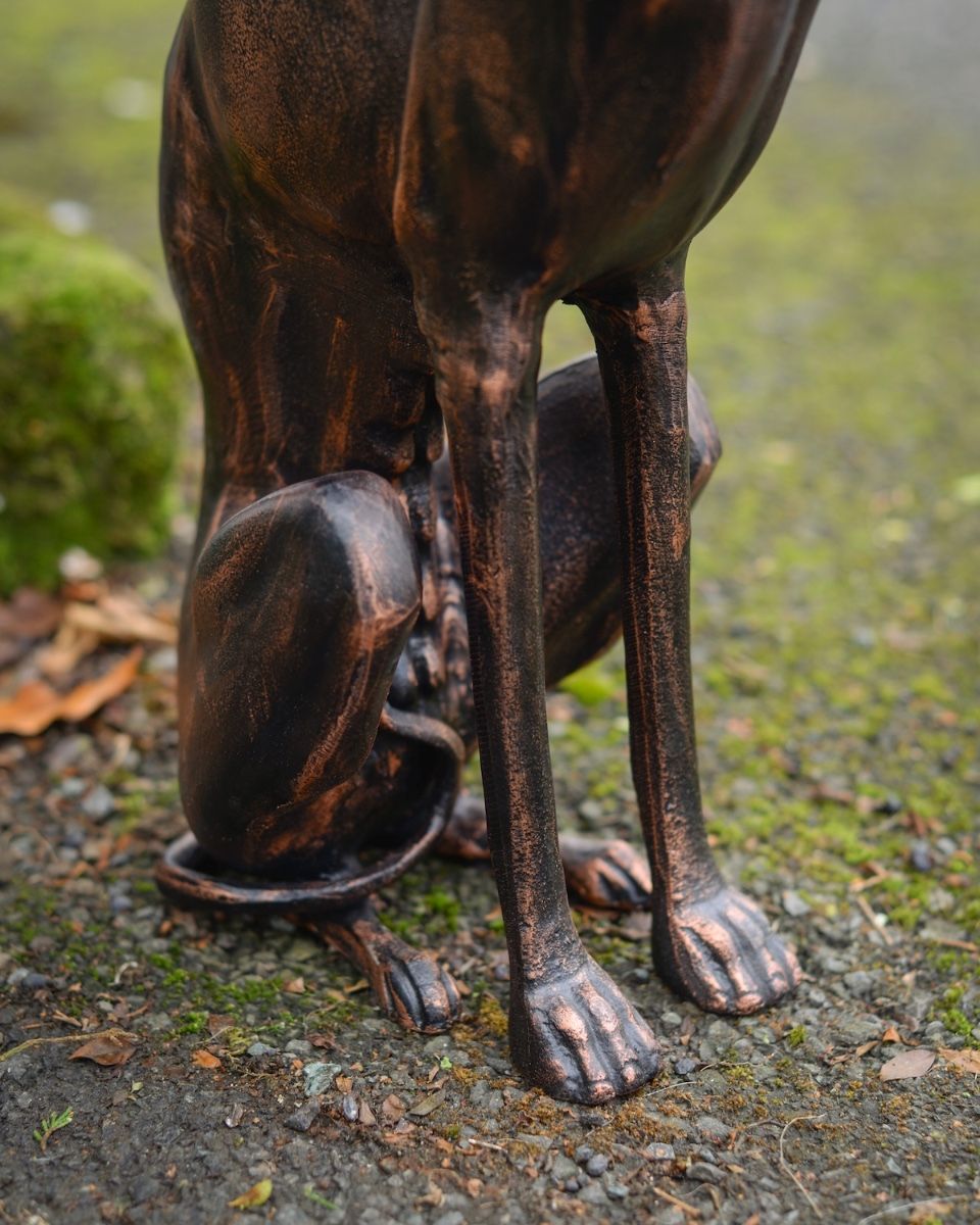 "Albus" the Sitting Greyhound Cast Aluminium Garden Sculpture close up of body