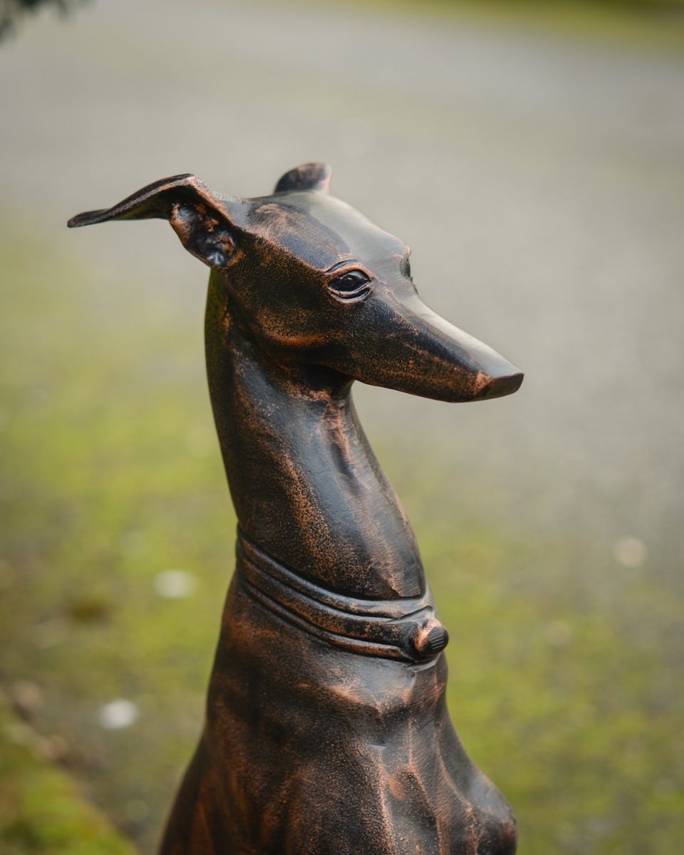 "Albus" the Sitting Greyhound Cast Aluminium Garden Sculpture close up of head