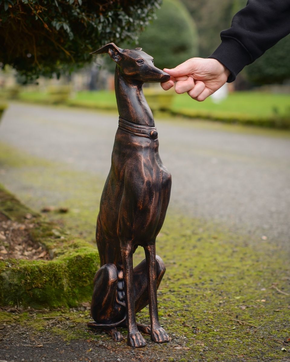 "Albus" the Sitting Greyhound Cast Aluminium Garden Sculpture with hand in shot for scale