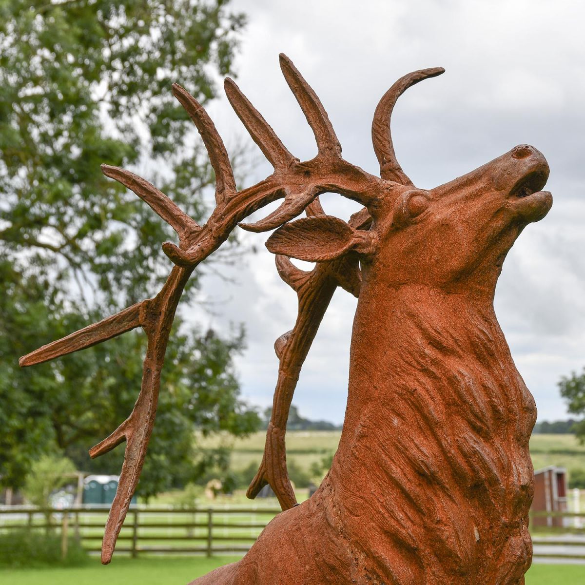 View of the Head of the “Balfour Glen” Stag Cast Iron Garden Statue