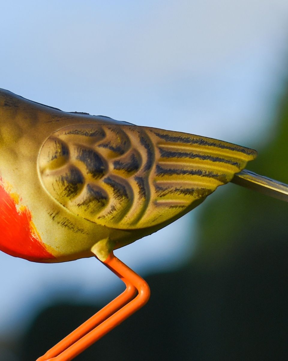 Charming Robin Steel Bird Sculpture Close up Tail
