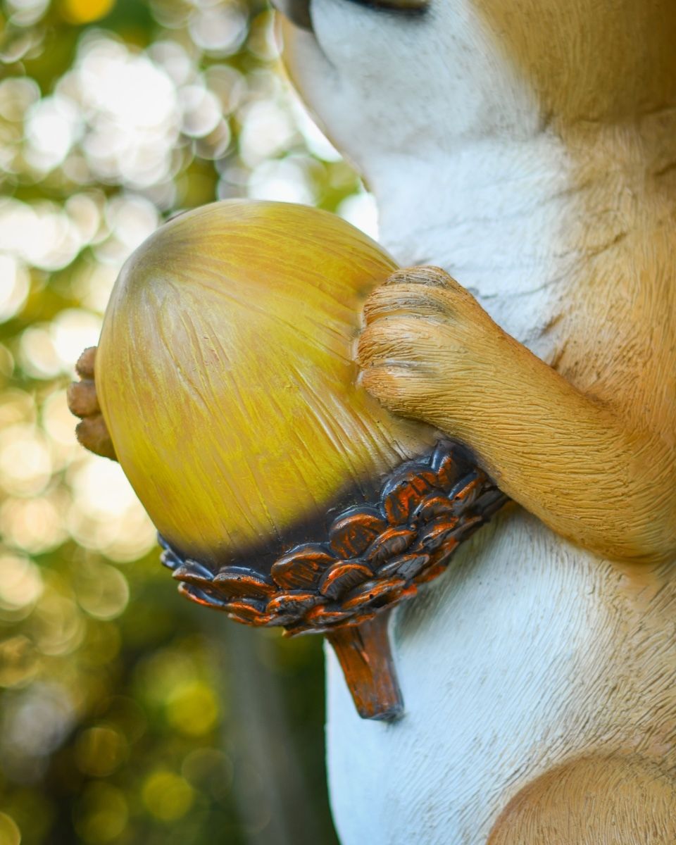 "Dash" the Handpainted Fibreglass Squirrel Garden Sculpture close up of acorn