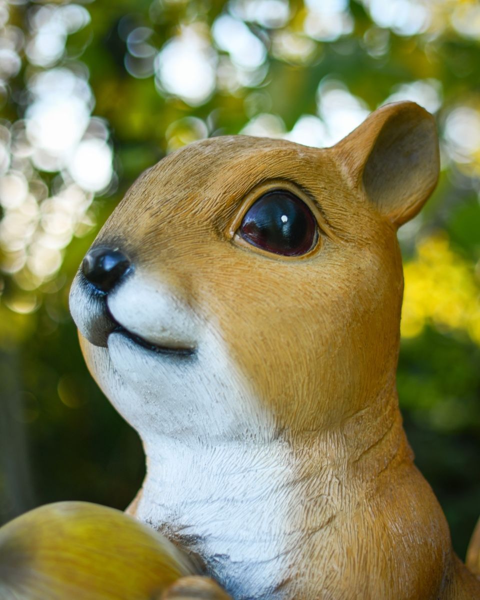 "Dash" the Handpainted Fibreglass Squirrel Garden Sculpture close up of head